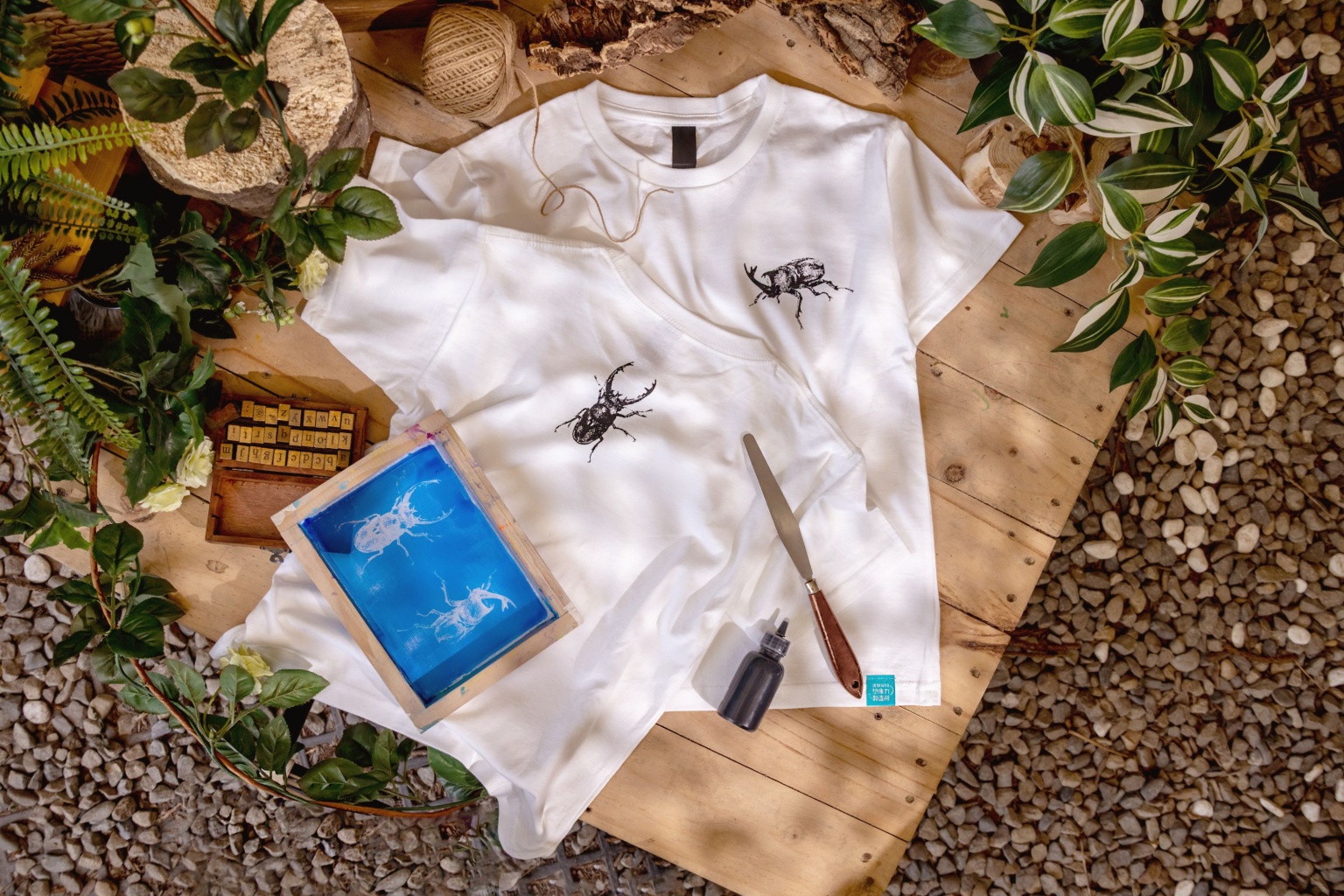20260518_Beetles T-shirt.jpg (578 KB)