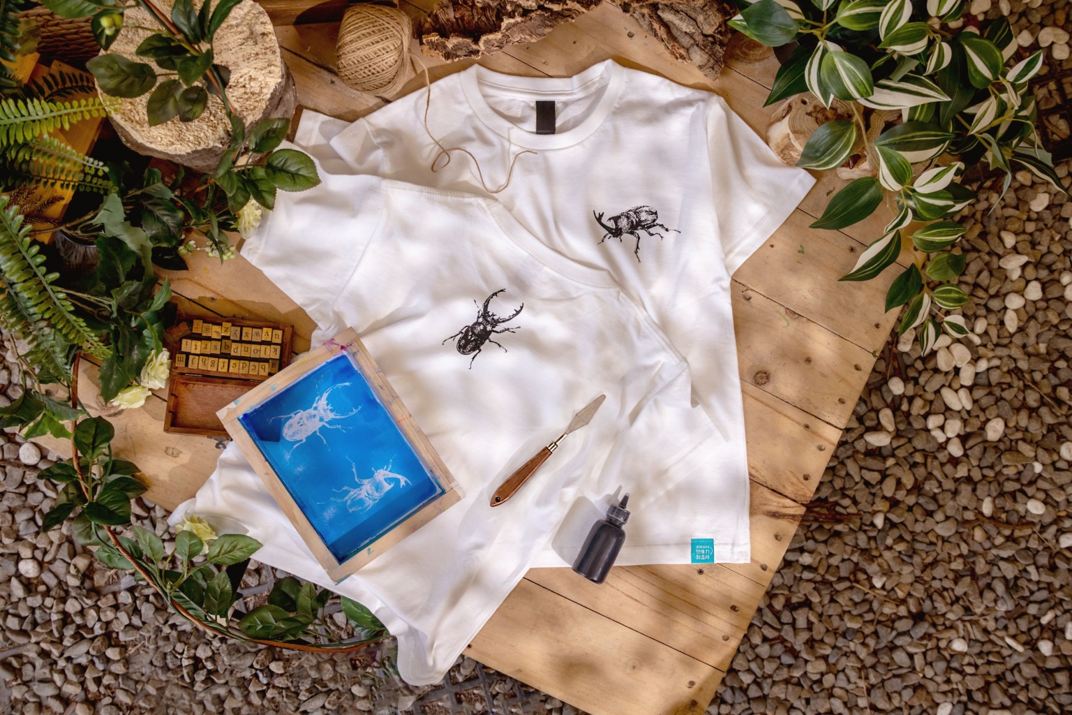 20260518_Beetles T-shirt_1.jpg (577 KB)