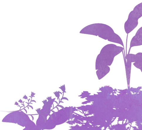 雄獅文具想像力製造所